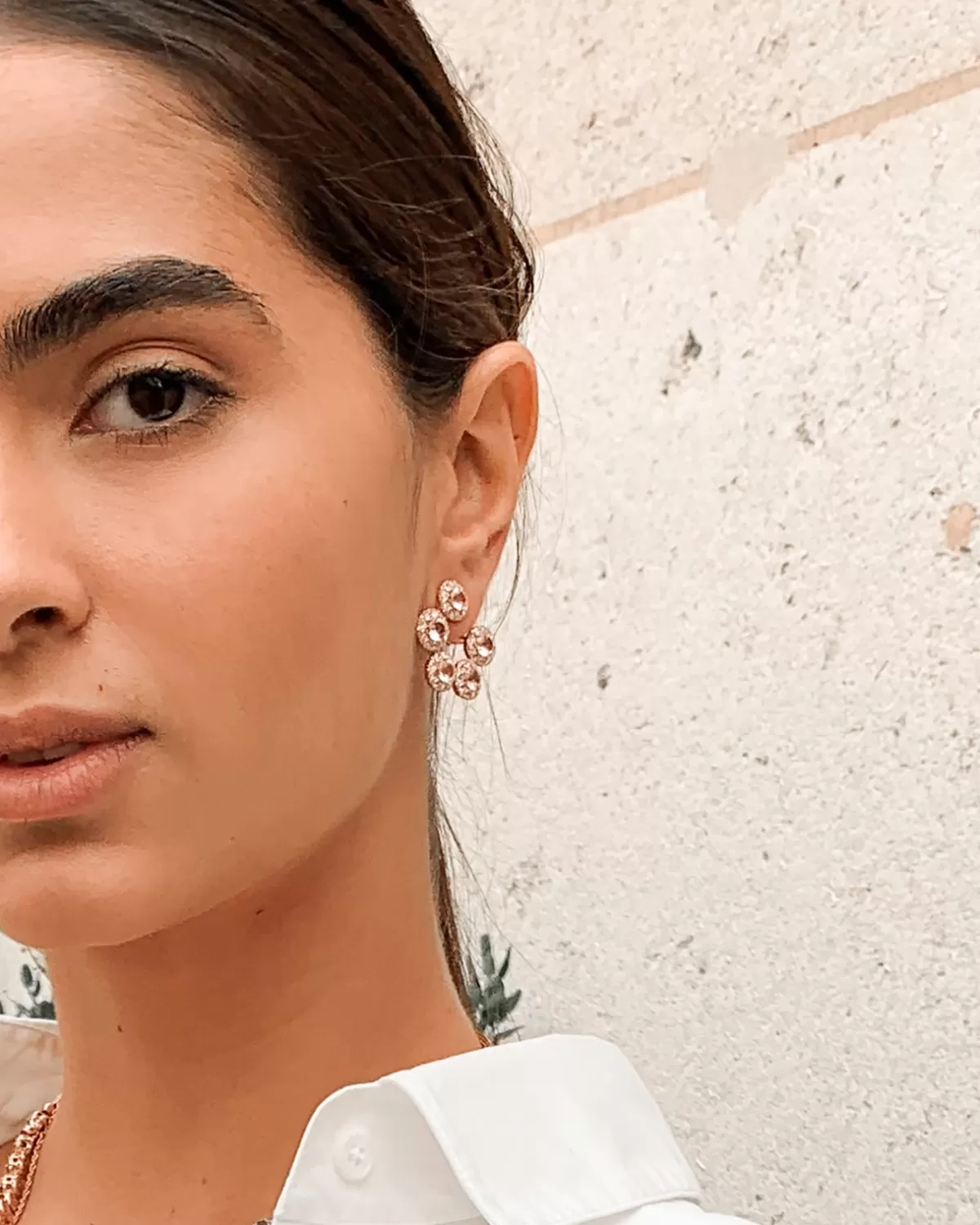 Selim Mouzannar Earrings-Beirut Circle Earringsmorganites - Diamonds